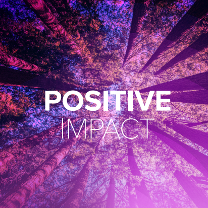 SRPInsight issue 10: positive impact
